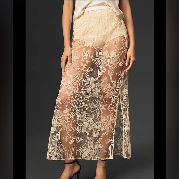 Anthropologie Dresses & Skirts - Anthropologie Cream Tan Lace A-Line Midi Skirt